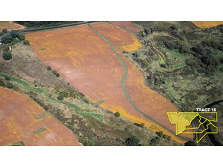 Property photo 50 - 1,153 +/- Acres offered in 15 TractsLAND AUCTION